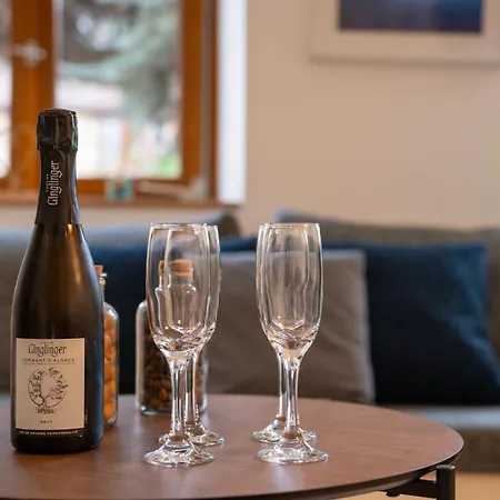Super Broussard Lodge Eguisheim