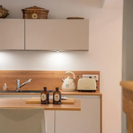 Super Broussard Lodge Eguisheim